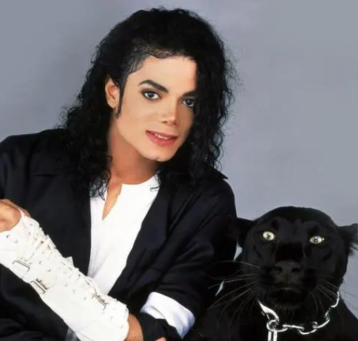 迈克尔·杰克逊-Michael Jackson
