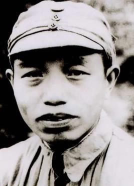 谭震林