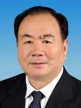王乐泉