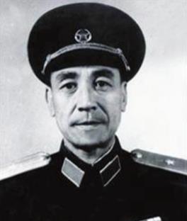 龙书金