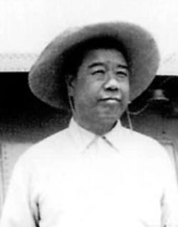 蔡良承