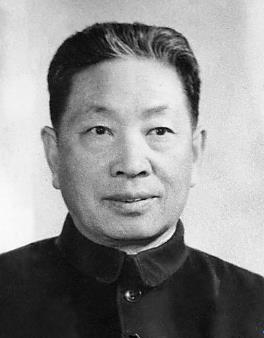 杨一木