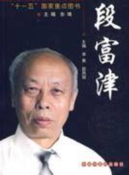 段富津