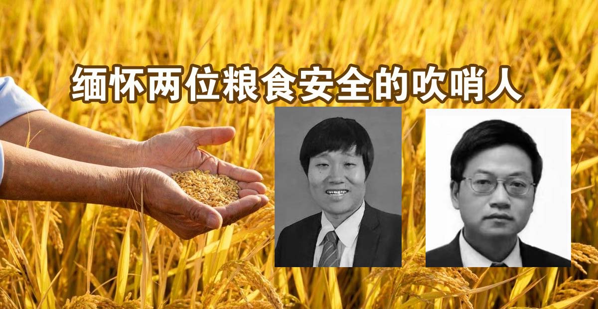缅怀两位粮食安全的吹哨人反转基因专家