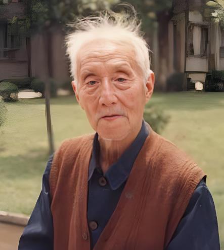 胡献雅