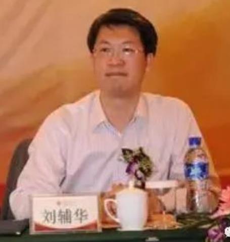 刘辅华