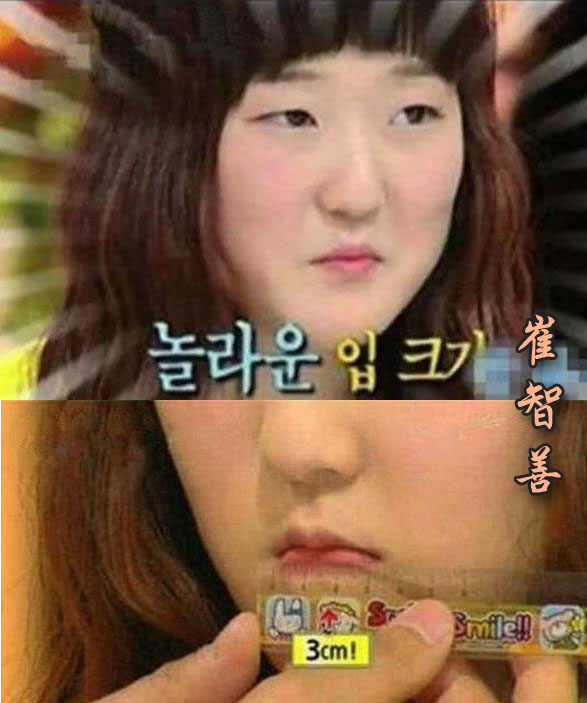 崔智善